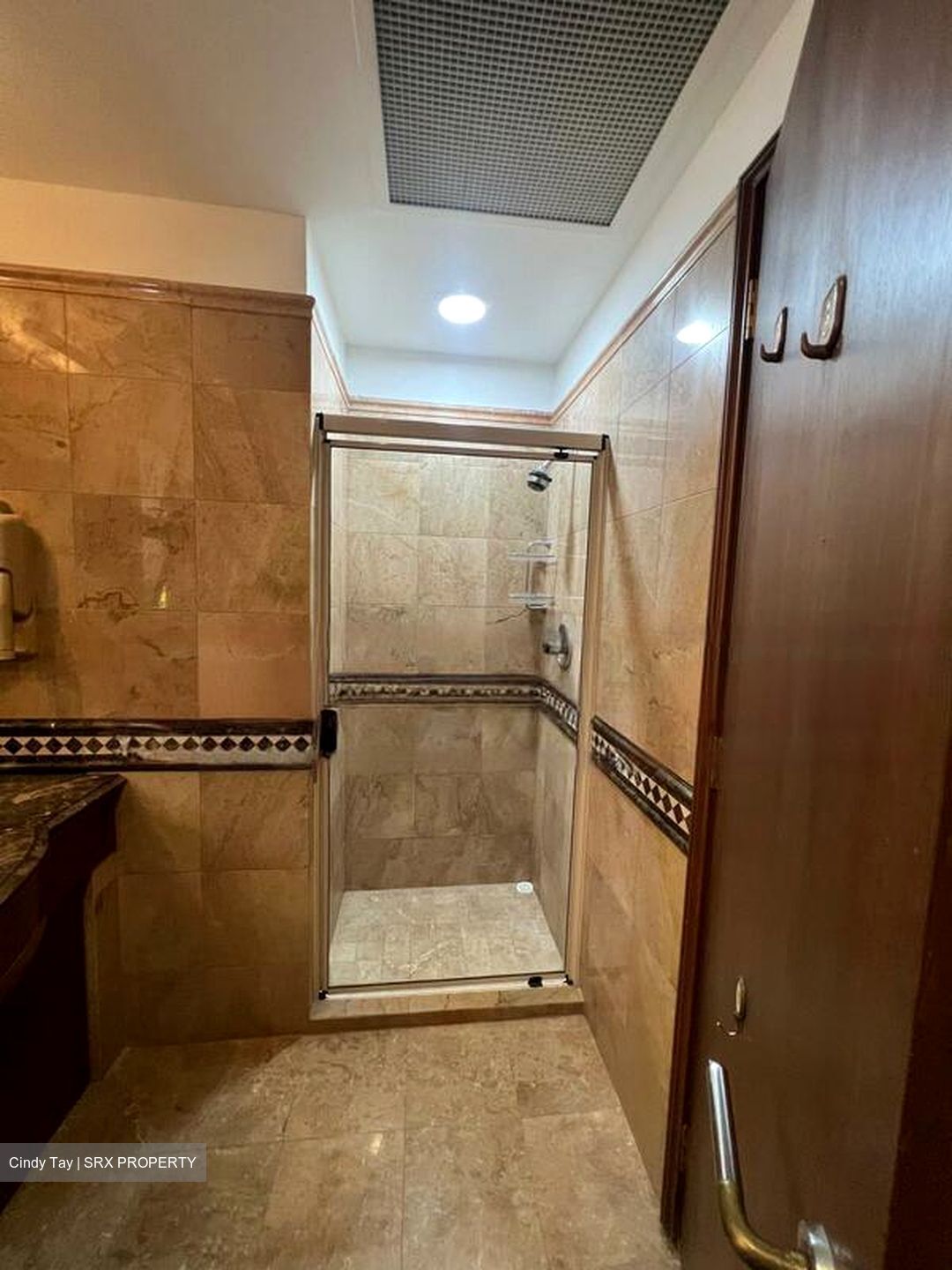 Dover Parkview (D5), Condominium #454552231